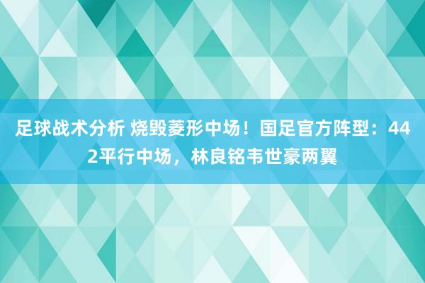 足球战术分析 烧毁菱形中场！国足官方阵型：442平行中场，林良铭韦世豪两翼