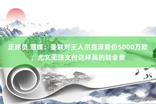 足球员 意媒：曼联对王人尔克泽要价5000万欧，尤文无法支付这样高的转会费