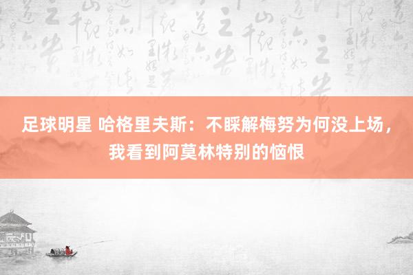 足球明星 哈格里夫斯：不睬解梅努为何没上场，我看到阿莫林特别的恼恨