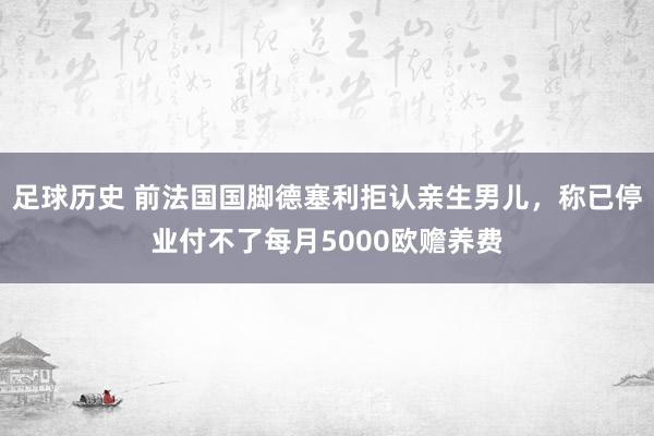 足球历史 前法国国脚德塞利拒认亲生男儿，称已停业付不了每月5000欧赡养费