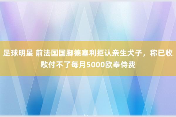 足球明星 前法国国脚德塞利拒认亲生犬子，称已收歇付不了每月5000欧奉侍费