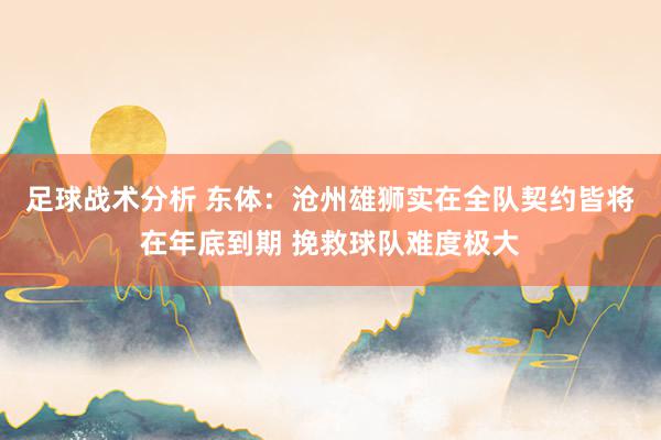 足球战术分析 东体：沧州雄狮实在全队契约皆将在年底到期 挽救球队难度极大